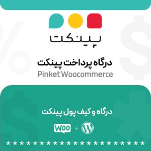 درگاه پرداخت پینکت