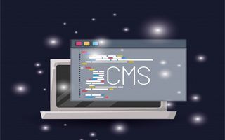 طراحی سایت : وردپرس یا CMS اختصاصی